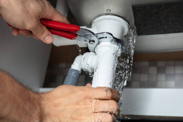 Best Flood damage cleanup  in Eden Prairie, MN