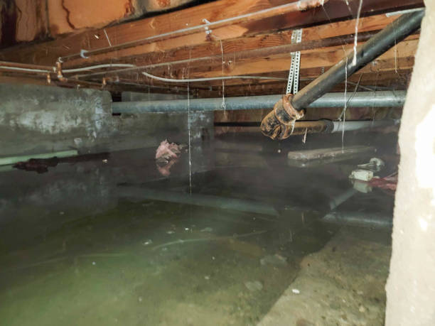 Best Water damage restoration experts  in Eden Prairie, MN