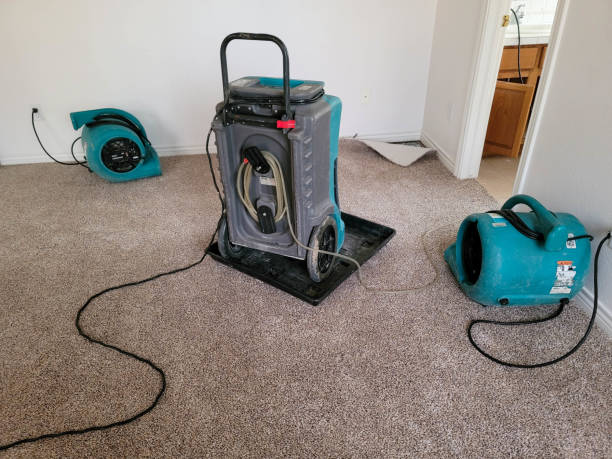 Best Fire Damage Restoration  in Eden Prairie, MN