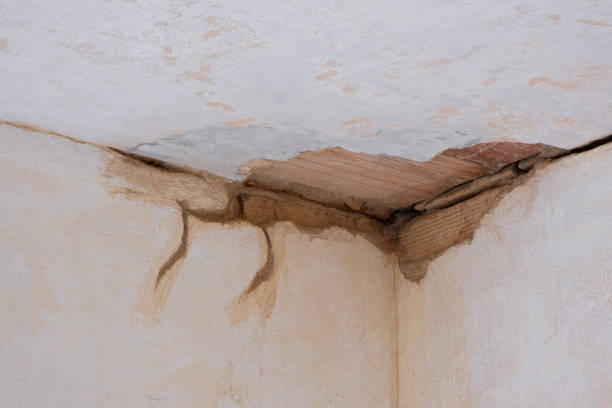 Best Local water damage restoration  in Eden Prairie, MN