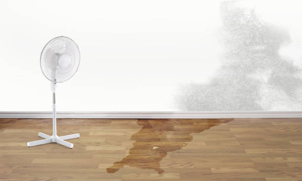 Reliable Eden Prairie, MN Water damage restoration Solutions