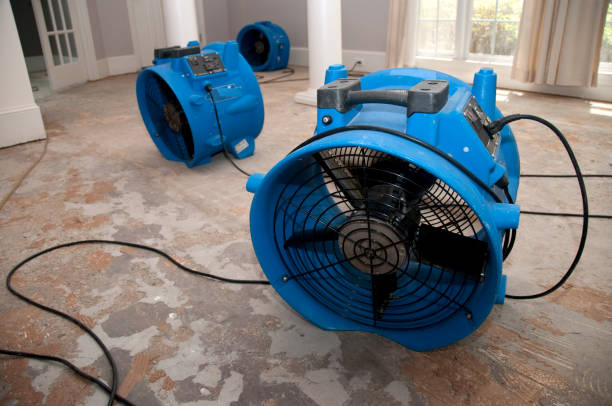 Best Water damage restoration near me  in Eden Prairie, MN