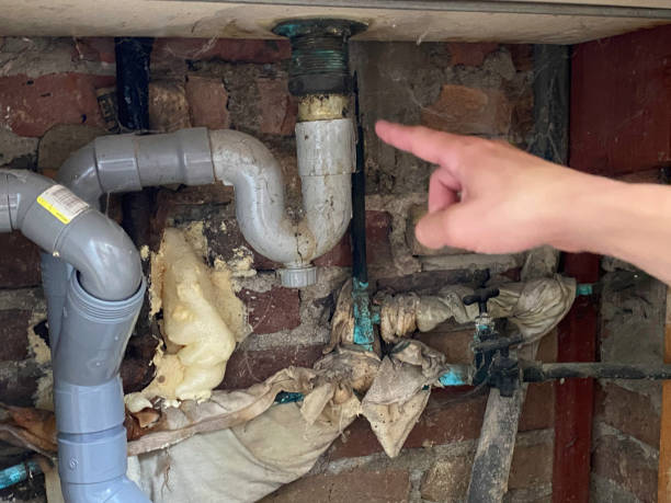 Best Flooded house restoration  in Eden Prairie, MN