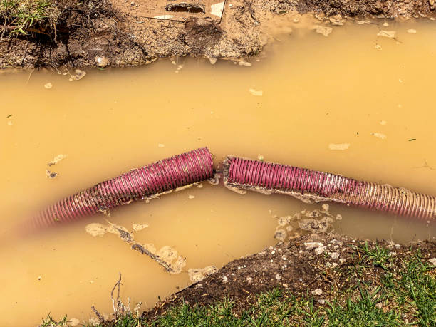 Best 24-hour water damage restoration  in Eden Prairie, MN