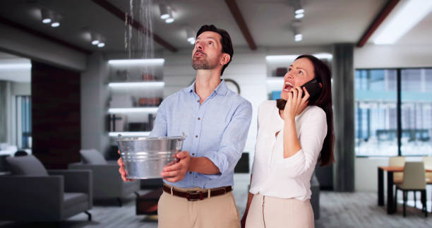 Best 24/7 water damage repair  in Eden Prairie, MN