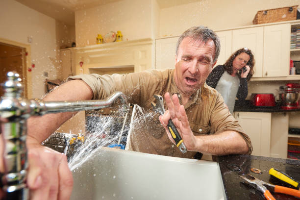 Best Carpet water damage restoration  in Eden Prairie, MN